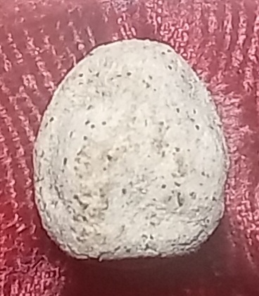 20250715_202044.jpg