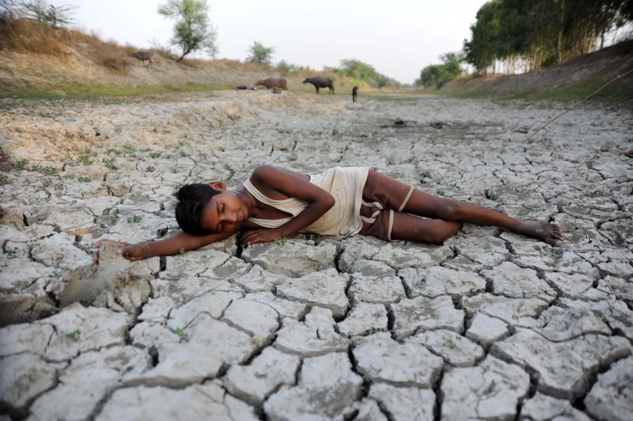 rajasthan-heatwave-902x600.jpg